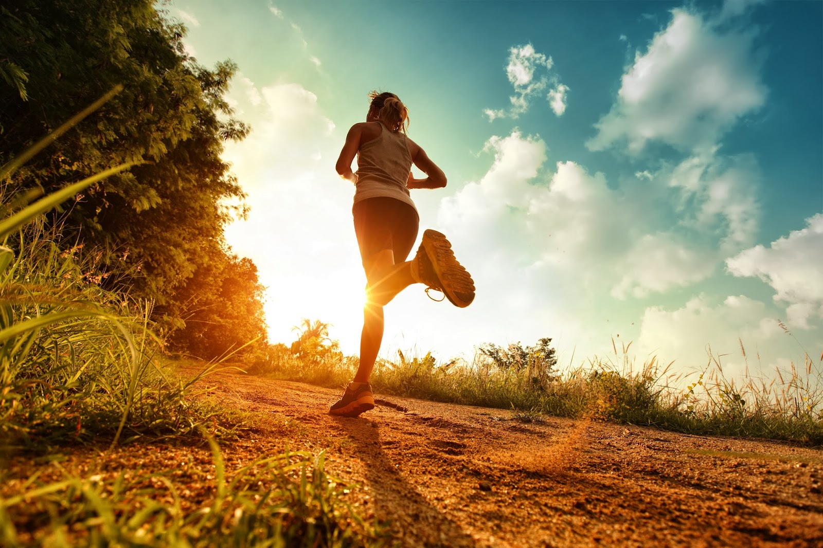 Purbeck Running Festival
